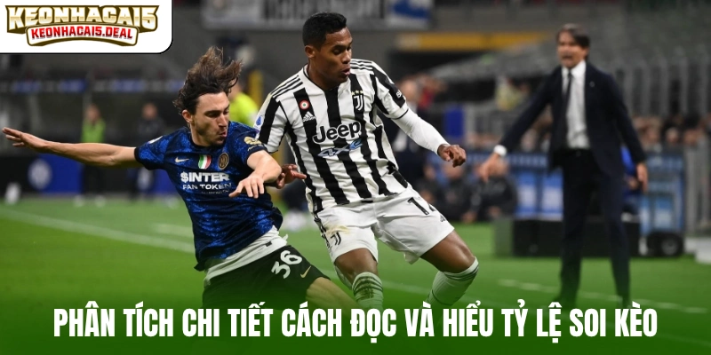 Phân tích chi tiết cách đọc và hiểu tỷ lệ soi kèo